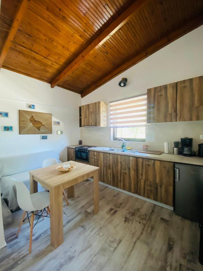Joyas Cosy Apartment 查加基恩 外观 照片