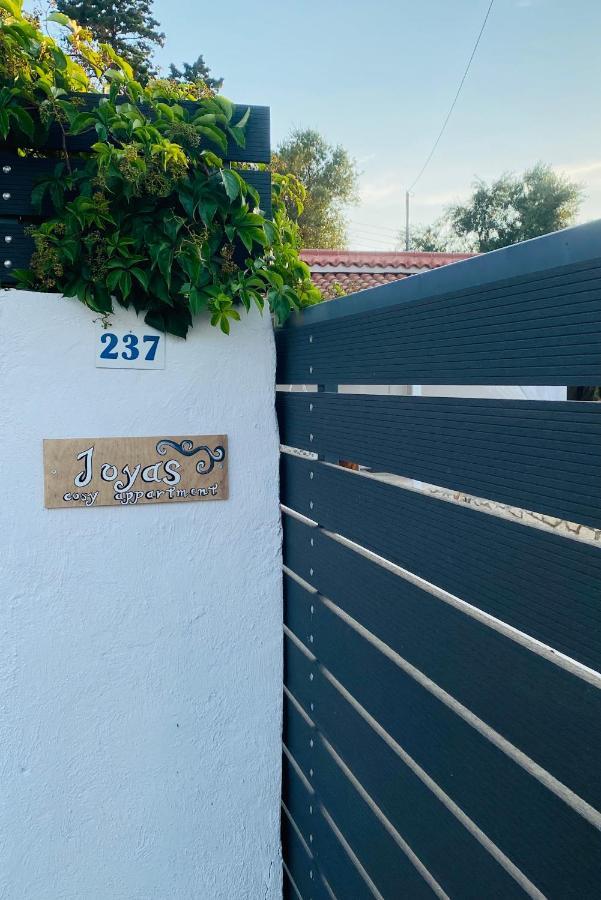 Joyas Cosy Apartment 查加基恩 外观 照片